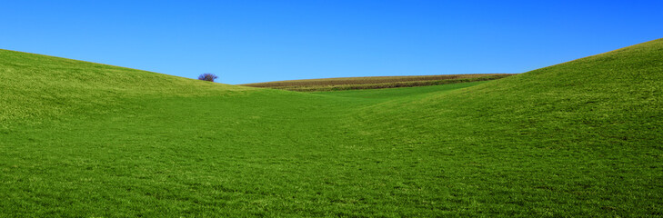 Spring landscape background with blue sky and green grass field.
