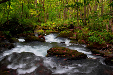The beauty of the Oirase brook Aomori City Japan