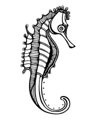 Seahorse Vector Illustration. Isolated on white background. Stylized Zen Doodle Seahorse for coloring book, design logo, marine theme