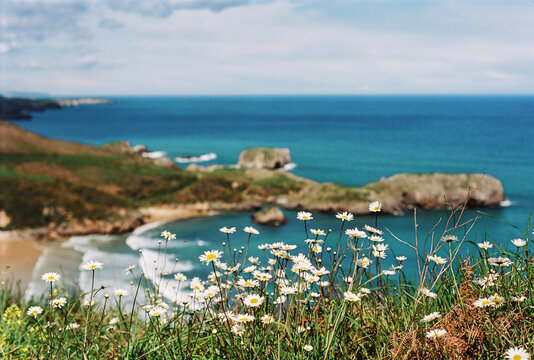 view of the coast of island