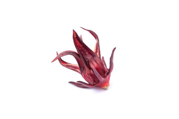Roselle Thai herbs isolated on white background