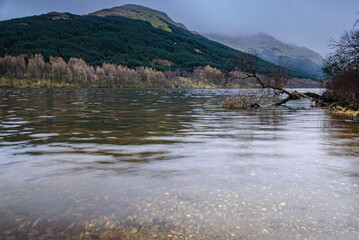 A winter 3 shot HDR image of an overcast Loch Voil with fallen tree near Balquhidder in Perthshire, Scotland