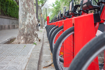 Fototapeta premium Bicycle parking in the city. Bike rent. Ecological transport.
