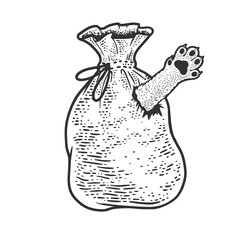 Cat in bag poke sketch engraving vector illustration. T-shirt apparel print design. Scratch board imitation. Black and white hand drawn image.
