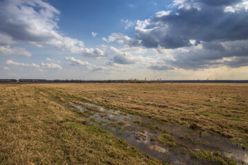Early spring in the field. Sunlight through the clouds. Forest on the horizon. Dramatic clouds. Landscape with a field and trees.