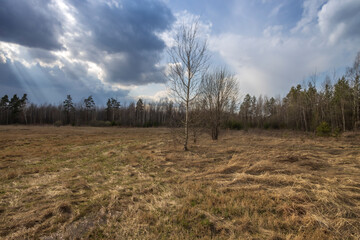 Early spring in the field. Sunlight through the clouds. Forest on the horizon. Dramatic clouds. Landscape with a field and trees. The sun shines with bright rays.