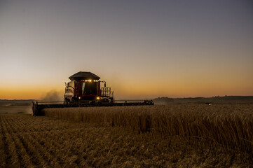 Fototapeta premium agriculture