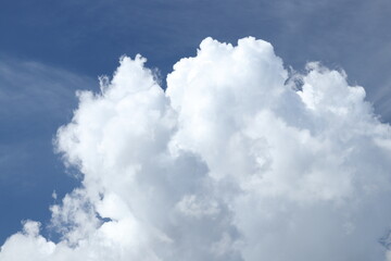 Naklejka na ściany i meble 青空にわきあがる白い雲（積雲、積乱雲）