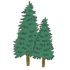 アウトドア　木　森　林　イラスト　手描き　水彩　筆
