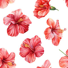 Watercolor hibiscus. Tropical flowers on an isolated background Seamless pattern