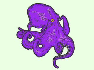 Creative, octopus purple. Sketch scratch board imitation color.
