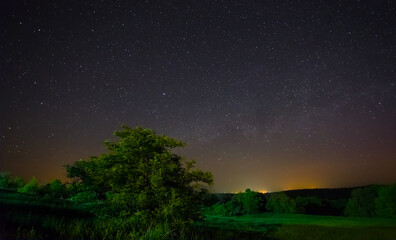 starry sky over the green fields, night countryside scene