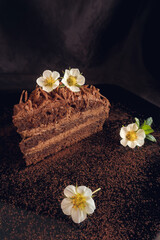 Fototapeta na wymiar Piece of chocolate cake with flowers and decorative leaves