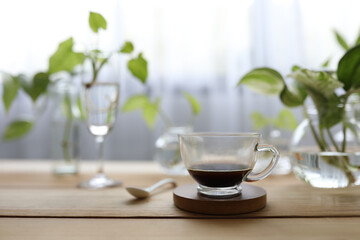 Coffee in glass and plants on glass vase and cup
