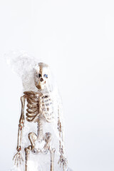 Creative composition of human skeleton in a plastic transparent cellophane bag. Zero waste modern concept.