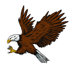 eagle in flight ,falcon ,animal ,bird ,hunter
