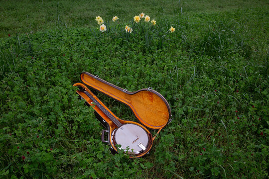 banjo in open case in meadow