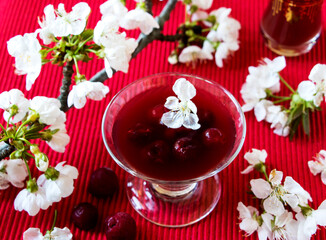 frühlingsboten, schöne kirschblüten mit einem glas kirschsaft vor roten hintergrund