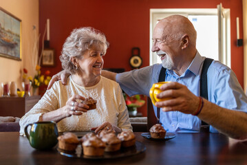 Portrait of a happy senior couple spending quality time together at home
