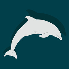 Dolphin jump vector art and graphics