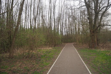 Piesza ścieżka w lesie wiosną