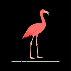 Flamingo vector art and graphics