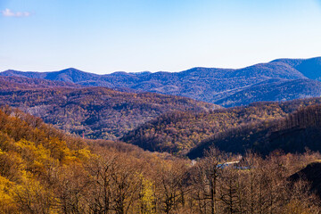 Blooming spring trees and mountains on a sunny day.