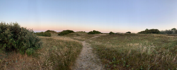 Chemin vers la plage à l'Aube sur l'Ile d'Oléron