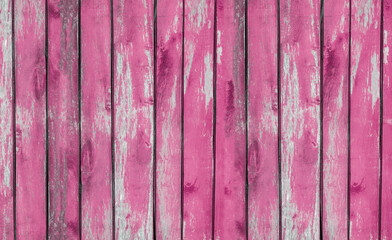 wooden pink background. wood texture. surface with boards. parquet on the floor. colored doors. loft style canvas