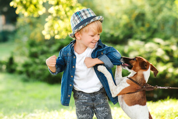 Little puppy jack russel terrier bites his owner during walk. Boy and dog best friends. Child with dog walking in summer park.