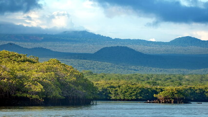 Mangrove swamp at Caleta Tortuga Negra, Baltra Island, Galapagos, Ecuador, with mountains rising up...