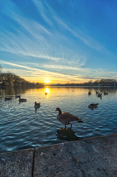 Beautiful sunset at the Aasee in Munster, Germany