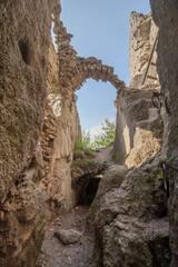 Obraz premium ruins of a castle in the slovak mountains - Strazovske vrchy