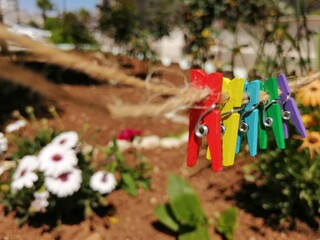 Colorful clothespin clothespins on the rope