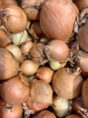 Close-up of a yellow onion. Organic raw onions.