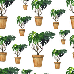 Monstera plant in pot in seamless pattern on white background. Watercolor hand drawing plant in pot. Perfect for textile or digital paper.