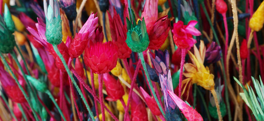 Dry flowers and grass. Abstract color background.