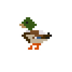 Drake on a white background, pixel duck, print for your design
