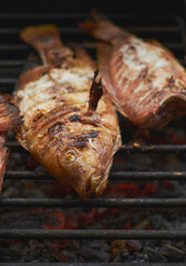Grilled mojarra fish family dinner