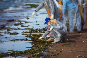 Process of cleaning up the shore beach line from litter garbage rubbish trash, group of eco volunteers remove oil products leak spill, plastic waste and dump removing, ecological problems concept