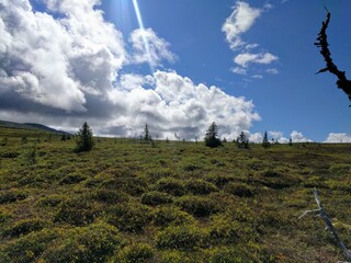 landscape in the mountains with clouds and blue sky