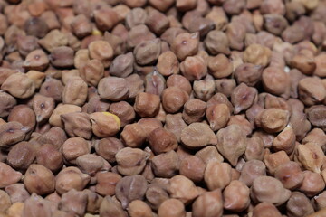 Chickpea stock on shop for sell