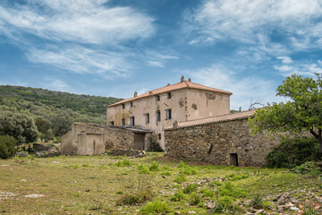 Fototapeta na wymiar Deserted building in maquis in Corsica
