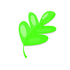 Green leaf isolated on white background.
Vector illustration for icons, logos, symbols, buttons, emoticons, stickers