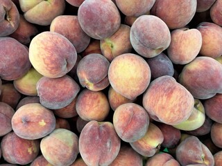 peaches on a stall