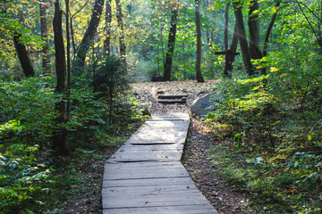 Eco path wooden walkway in Komarovo Shore, Komarovsky Bereg Natural Monument ecological trail path - route walkways laid in the forest, in Kurortny District of St. Petersburg, Russia