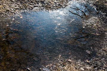 View from above. Frozen puddle. The ice formed a natural pattern. Abstraction