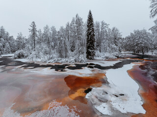 Wild frozen peat river in the winter forest, red river, ice, snow-covered deciduous grove, cloudy...