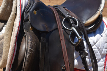 horse and rider equipment