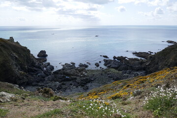 Fototapeta na wymiar Rocky headland on coast of Guernsey